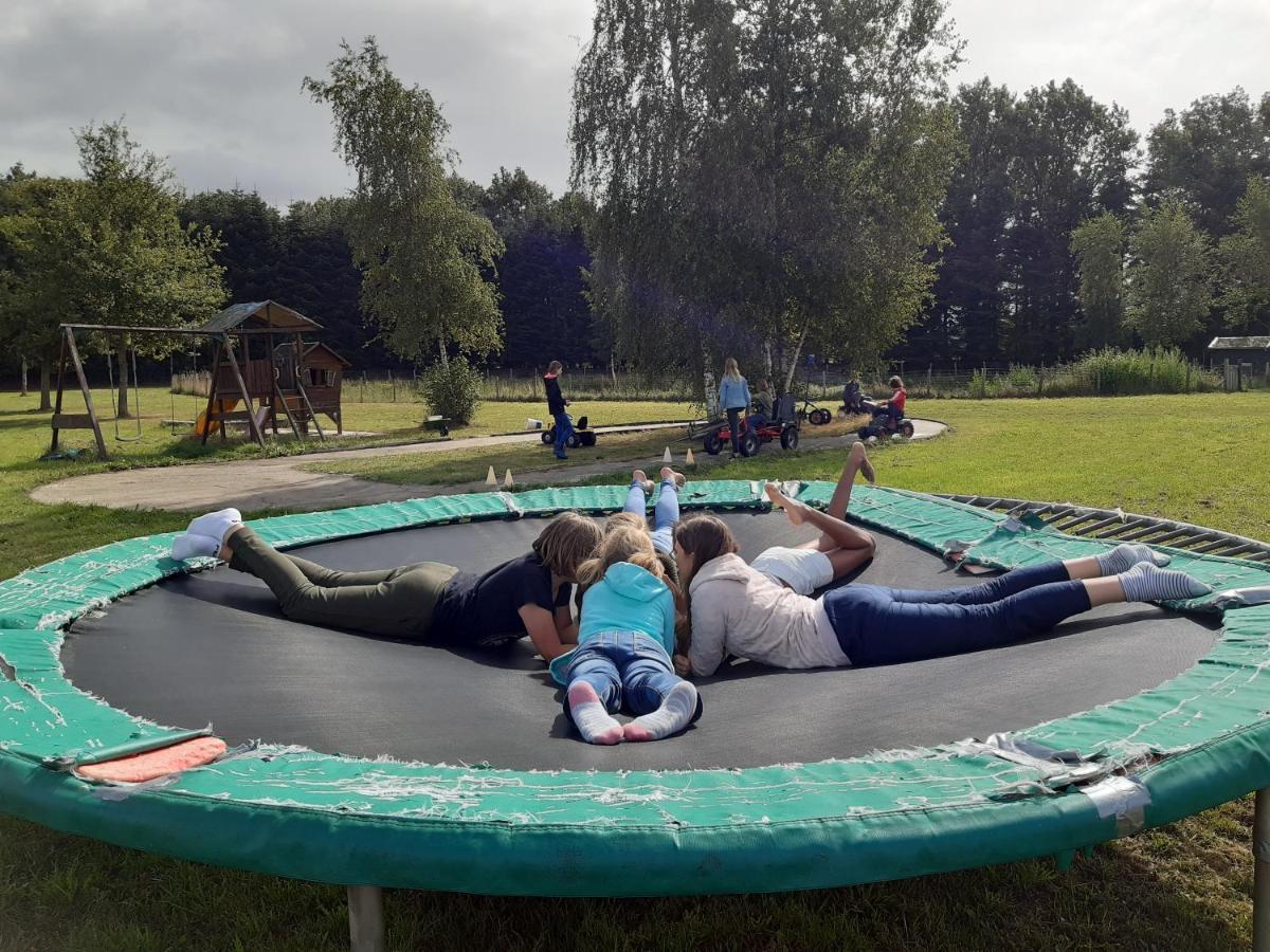 Het Bonte Paard Panzió Dwingeloo Kültér fotó